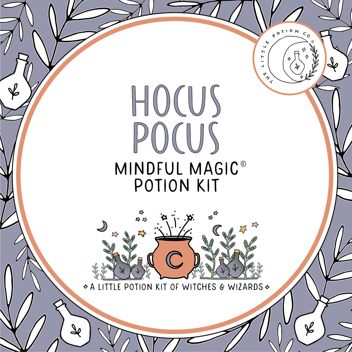 Hocus factory Pocus potions kit