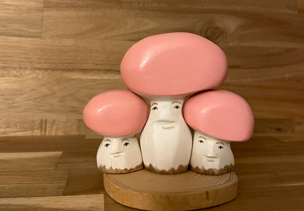 Ensemble Champignons Roses - Pink Mushroom Set