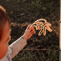 Jumping Spider Eco Cutter™