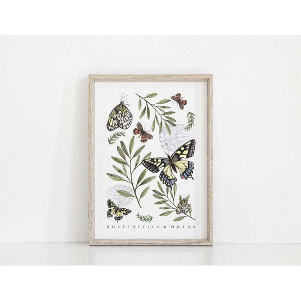 Butterfly and Moths Art Print