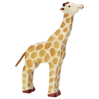 Giraffe, Head Raised