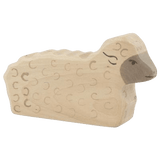 Sheep Lying