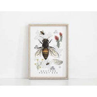Western Honey Bee Art Print