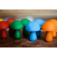 Colored Mushrooms Set of 10