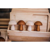 Mushrooms Set of 10