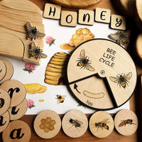 Bee Life Cycle