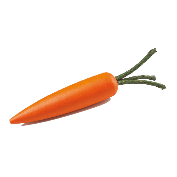 Carrot Pretend Food