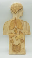Wooden Anatomy Puzzle