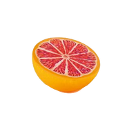 Grapefruit Pretend Food
