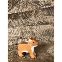 Lion, Small, Standing