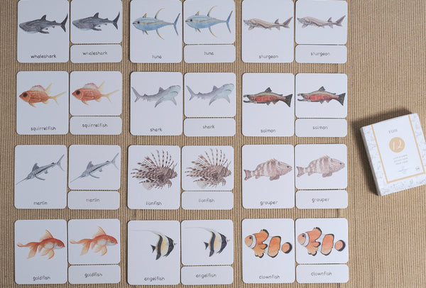 Fish 3-Part Nomenclature Cards