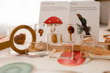 Mushroom Specimen Set