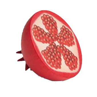 Pomegranate Pretend Food