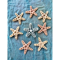 Starfish Bio Cutter